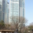 강남게이트볼장 이미지