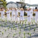 용전2로 이미지