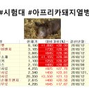 백광의약품(주) | #사우디드론공격 #방역관련주 #동물용의약품 #닭고기주 #치사율100% #북미협상 #금리인하폭 #바닥확인...