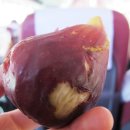 일화농장 이미지