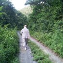 7월 8일 법륜스님의 하루(산책, 정리하는 시간)/들국화 이미지