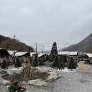 아산글램핑캠핑장 | [공주] 천안 아산 북면 근교 신생 캠핑장 파크오브드림 글램핑 :강아지 동반 글램핑장 후기