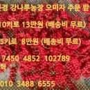 강준혁농장 이미지