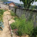 재만농장 이미지