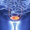 유로스메디컬의원 이미지