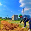 평수농장 이미지