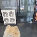 이형윤동물병원 이미지