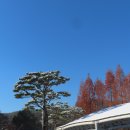 참새의 정원 이미지