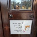 양주 반려견동반카페-카페393양주
