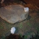 칠곡 흙집세상 네이버블로그