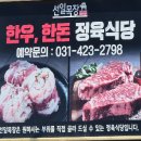선일 이미지