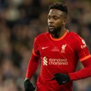 리즈펠리스 이미지