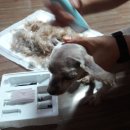 (주)코코 이미지