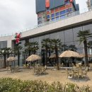 강남(205) 이미지