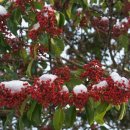 구영성모안과의원 이미지