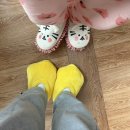 대빵인형뽑기 성신점(구:랜덤박스 ?) - | 어쩌면 우리도 전생에 와라와라 였을지도...