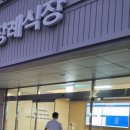 남은자 와 떠난자 이미지
