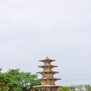 부여관광문화학교협동조합 | 충남 부여 아이와 가볼만한곳 부여정림사지 역사 산책