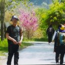 국내여행) 당일치기 원주 충주 도보여행 2025년 7월 &amp; 8월 출발 확정 이미지