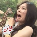 서천한산소곡주 이미지
