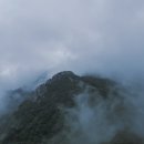 나무쉼터 이미지