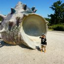 라벤다호텔 이미지