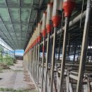 한우축사(2) 이미지