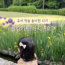 신정공원 이미지