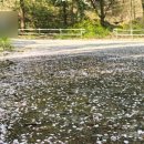 완산공원(정상) 이미지