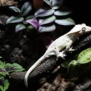 어반네이처 이미지