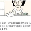 파 오래 보관하는 방법 이미지