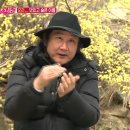 청춘오리 이미지