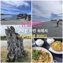 머슴타이어 | 뉴질랜드/고요한 적막을 깨는 아름다운 자연 속으로/길레스피스 비치/오카리토 라군 보트하우스와 산책로