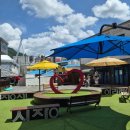 여곡농장 | 강원도 정선여행 가볼만한곳 아리랑시장, 5일장(2,7,12,17,22,27일)