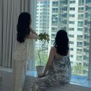 플릭스튜디오 이미지