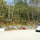 대대 찹쌀아구찜 이미지