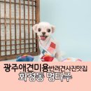 멍타주 이미지