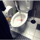 싱크대막힘하수구막힘변기막힘배관배수구막힘역류뚫어 네이버블로그