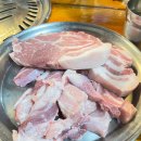 덩어리뽈따구 이미지