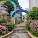 신한중행정사무소 이미지