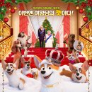 프린스 코기 | &lt;프린스 코기&gt;후기-빵실 엉댕이와 트럼프, 영국 여왕 캐릭터 등장