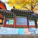 천년숲서로(서) | 전북남원여행 지리산 가을단풍과 천년고찰 남원 실상사 방문기