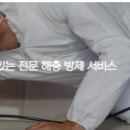 관항길 이미지