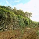 성읍민속마을 이미지