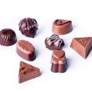 애니펫 동물병원 이미지