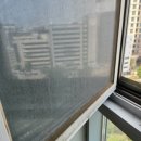 힐데스크리닝 이미지