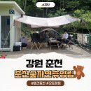 강원 춘천 애견동반 오토캠핑 춘천숲자연휴양림 선착순 자리 사이트 17번후기