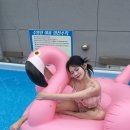 하정축산 | [거제 펜션 추천] 료칸감성 스파펜션 “소동재” 스파포레스트 B동 방문후기