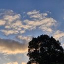 제주카라반 | 제주카라반 힐링 제대로였던 구좌읍 감성 숙소 후기