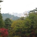 신흥사 이미지